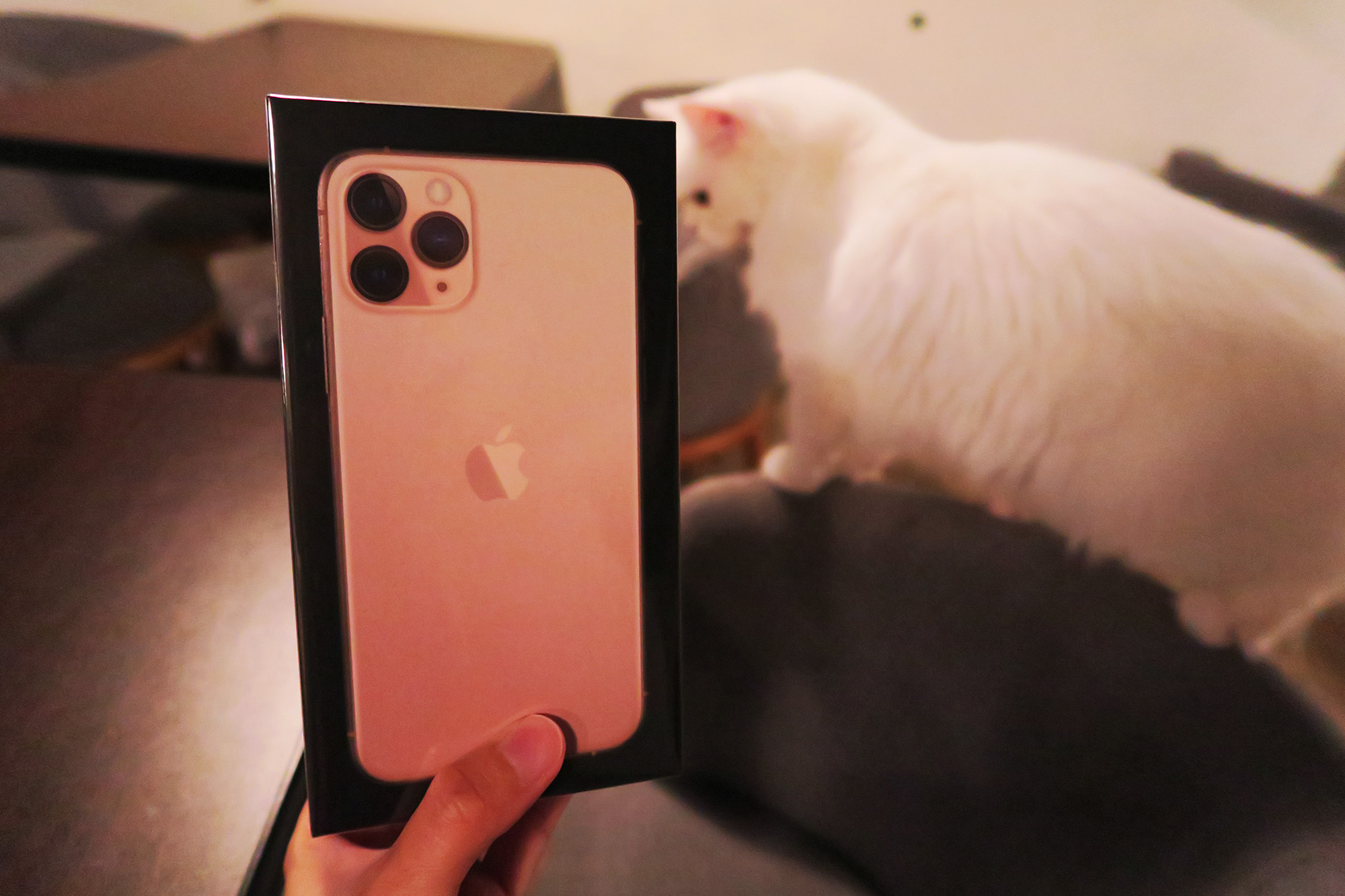 目前夜間拍照最強最廣角的iOS手機——三鏡頭的iPhone 11 Pro開箱！