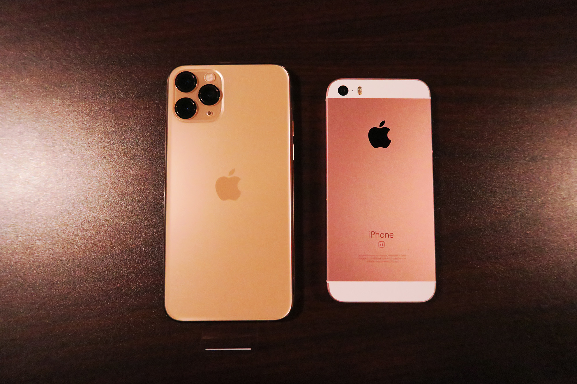 iPhone 11 Pro VS iPhone SE